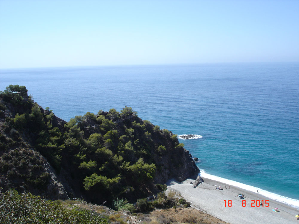 DSC00617