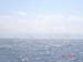 DSC00706